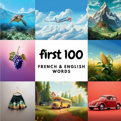 First 100 French & English Words - Ali Heidary,Aisling Heidary - cover