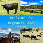 Raising Beef Cattle for Beginner's Guide