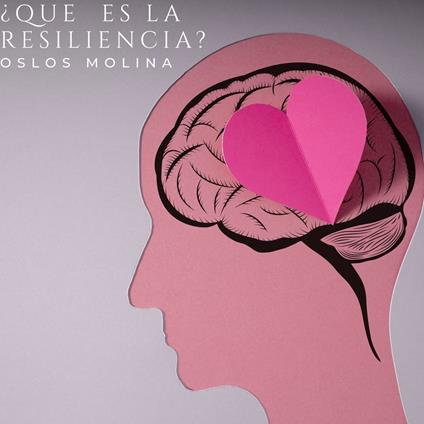 ¿Qué es la resiliencia?