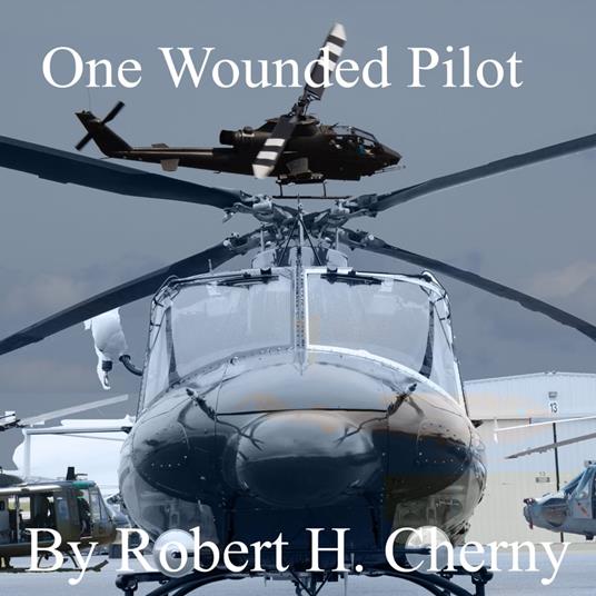 One Wounded Pilot