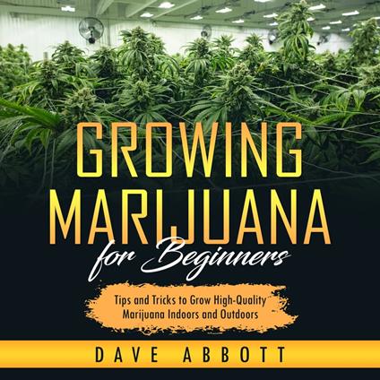 Growing Marijuana For Beginners