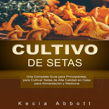 CULTIVO DE SETAS