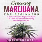 Growing Marijuana For Beginners