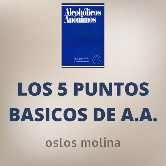 Los 5 puntos basicos de AA