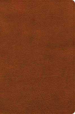 CSB Giant Print Single-Column Bible, Burnt Sienna Leathertouch - Csb Bibles by Holman - cover