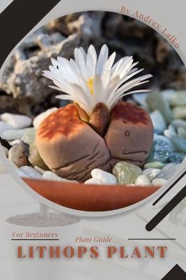 Lithops Plant: Plant Guide - Andrey Lalko - cover