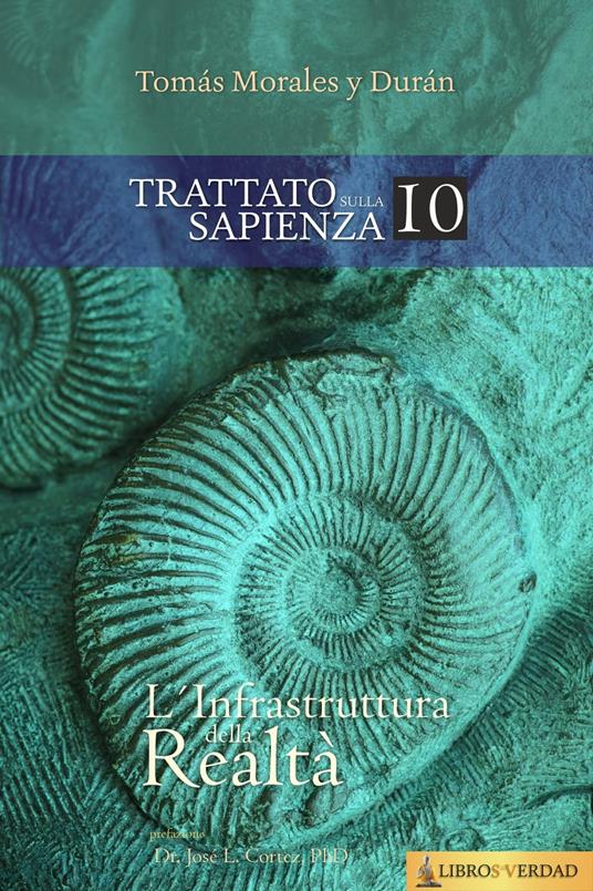 L'infrastruttura della realtà - Tomás Morales y Durán - ebook