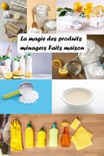 La Magie des Produits Ménagers Faits Maison