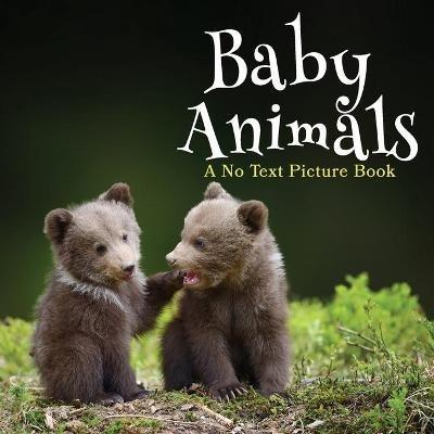 Baby Animals, A No Text Picture Book: A Calming Gift for Alzheimer Patients and Senior Citizens Living With Dementia - Lasting Happiness - cover