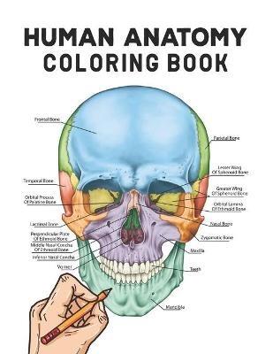 Human Anatomy Coloring Book - Mithgarne Press Publications - cover
