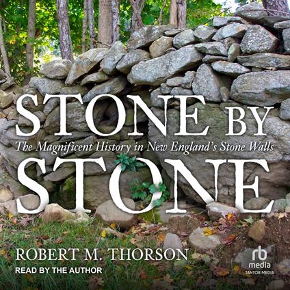 Stone by Stone