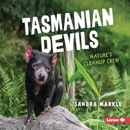 Tasmanian Devils