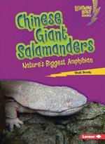 Chinese Giant Salamanders: Nature's Biggest Amphibian