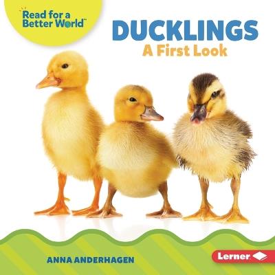 Ducklings: A First Look - Anna Anderhagen - cover