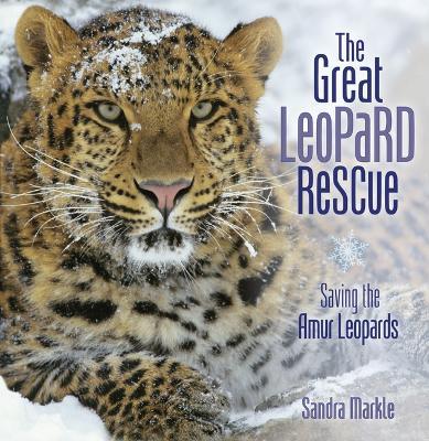 The Great Leopard Rescue: Saving the Amur Leopards - Sandra Markle - cover