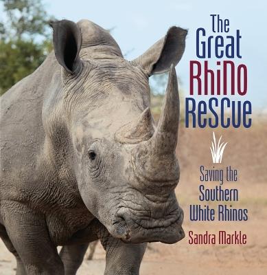 The Great Rhino Rescue: Saving the Southern White Rhinos - Sandra Markle - cover