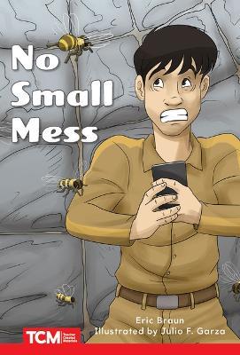 No Small Mess: Level 1: Book 7 - Eric Braun - cover