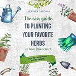 How to Grow Herbs for Beginners