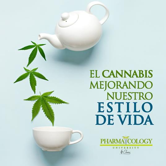 El cannabis mejorando nuestro estilo de vida