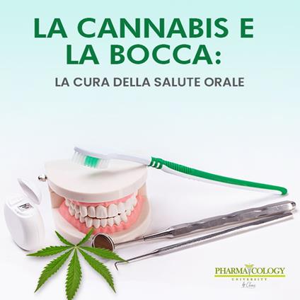 La cannabis e la bocca: la cura della salute orale