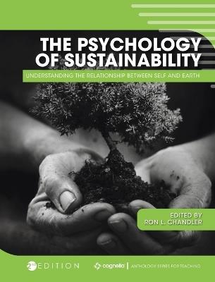 Psychology of Sustainability: Understanding the Relationship Between Self and Earth - cover