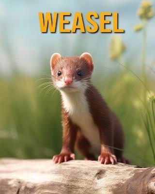 Weasel: Fun Facts Book for Kids - Nicole Oberski - cover