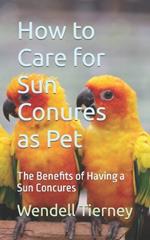 How to Care for Sun Conures as Pet: The Benefits of Having a Sun Concures