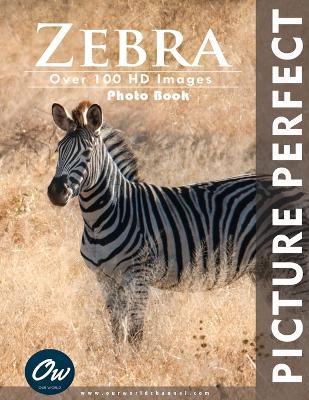 Zebra: Picture Perfect Photo Book - A Arelt,Our World - cover
