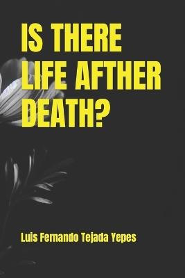 Is There Life Afther Death? - Luis Fernando Tejada Yepes - cover