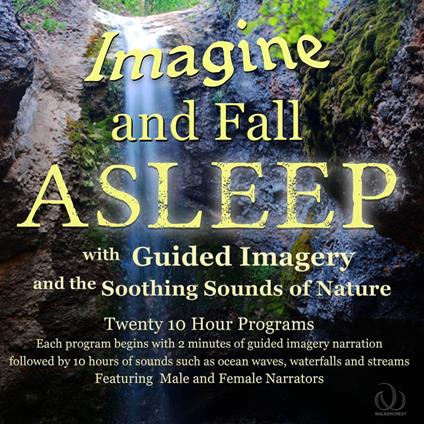 Imagine and Fall Asleep