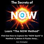 Secrets of NOW, The