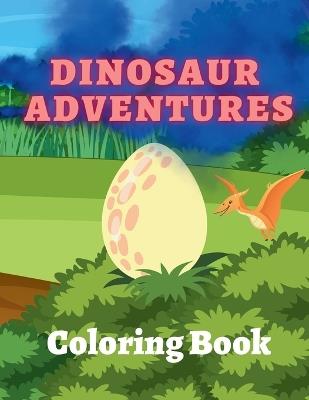 Dinosaur Adventures Coloring Book - Amber M Hill - cover