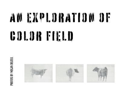 An Exploration In Color Field - Megan Delzell - cover