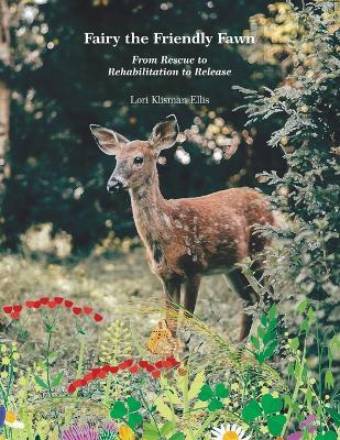 Fairy the Friendly Fawn: From Rescue to Rehabilitation to Release - Lori Klisman Ellis - cover