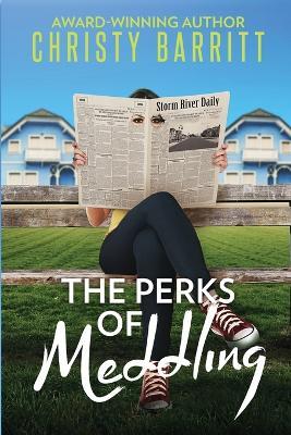 The Perks of Meddling - Christy Barritt - cover