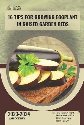 16 Tips For Growing Eggplant in Raised Garden Beds: Guide and overview - Van Doichev - cover