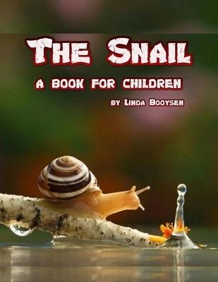 The Snail - a book for children: The life of a snail - Linda Booysen - cover