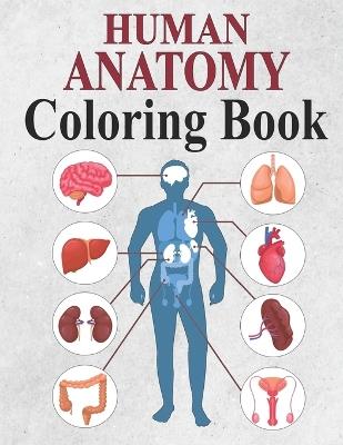 Human Anatomy Coloring Book: Facts and Activity - Oussama Zinaoui - cover