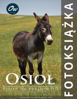 Osiol: Fotoksiazka - A Arelt,Our World - cover