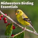 Midwestern Birding Essentials