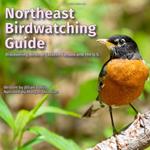 Northeast Birdwatching Guide