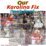 Our Karolina Fix Book Deal