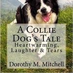 A Collie Dog's Tale