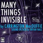 Many Things Invisible