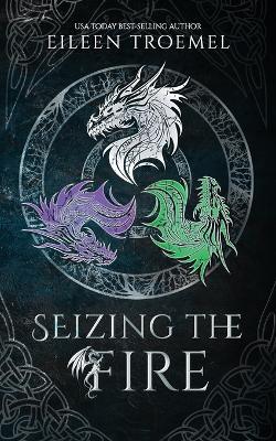 Seizing the Fire - Eileen Troemel - cover