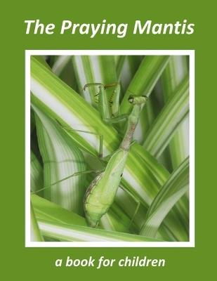 The Praying Mantis - a book for children: The tiny hunter - Linda Booysen - cover