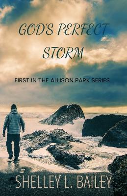 God's Perfect Storm: Book 1 of the Allison Park Series - Shelley L Bailey - cover