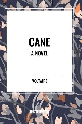 Cane a Novel - Jean Toomer - cover