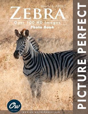 Zebra: Picture Perfect Photo Book - A Arelt,Our World - cover