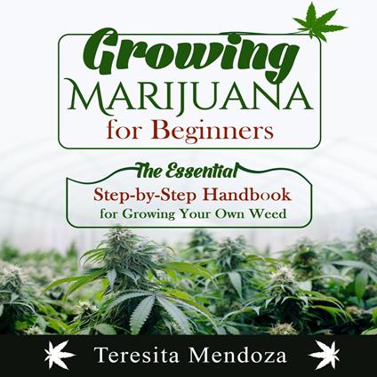 Growing Marijuana for Beginners